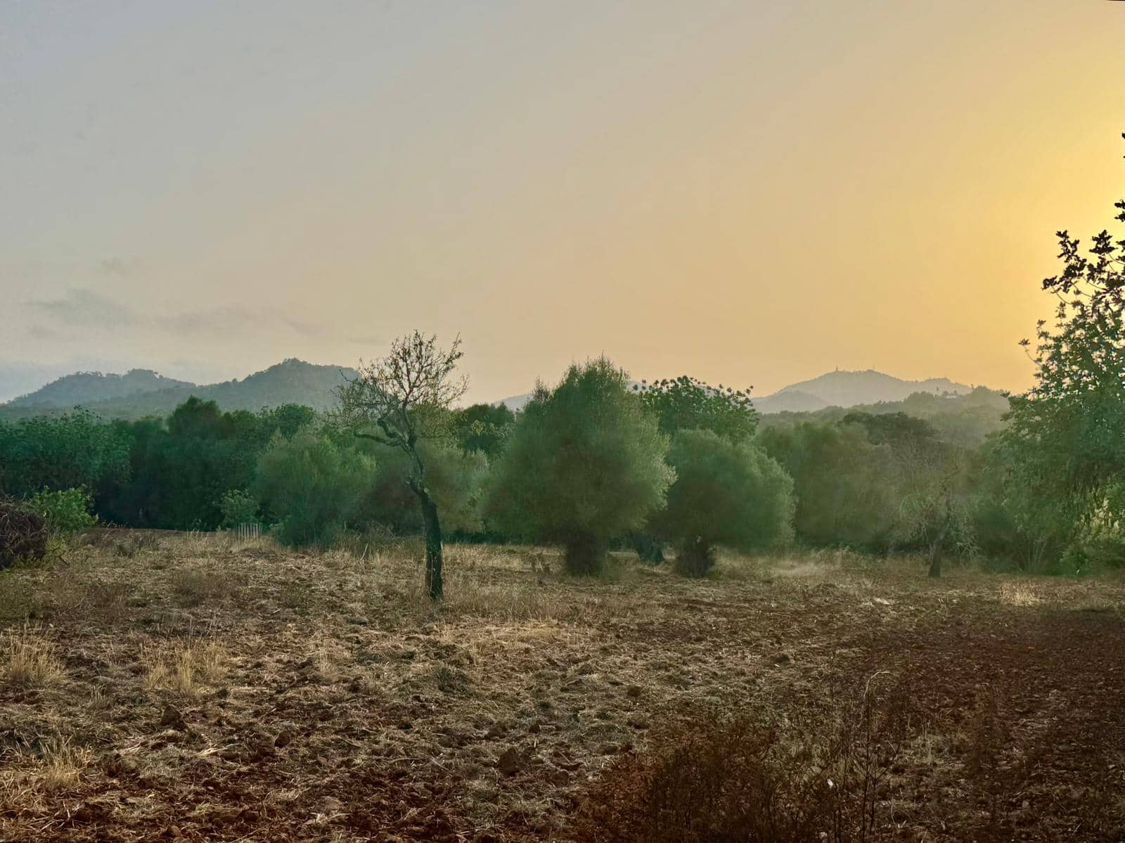 3 Zimmer Finca/Landgut zu vermieten in Portocolom mit Pool Garage - 4.000 € (Ref: 10021306)