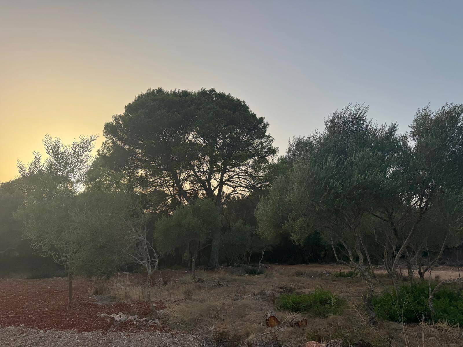 3 Zimmer Finca/Landgut zu vermieten in Portocolom mit Pool Garage - 4.000 € (Ref: 10021306)