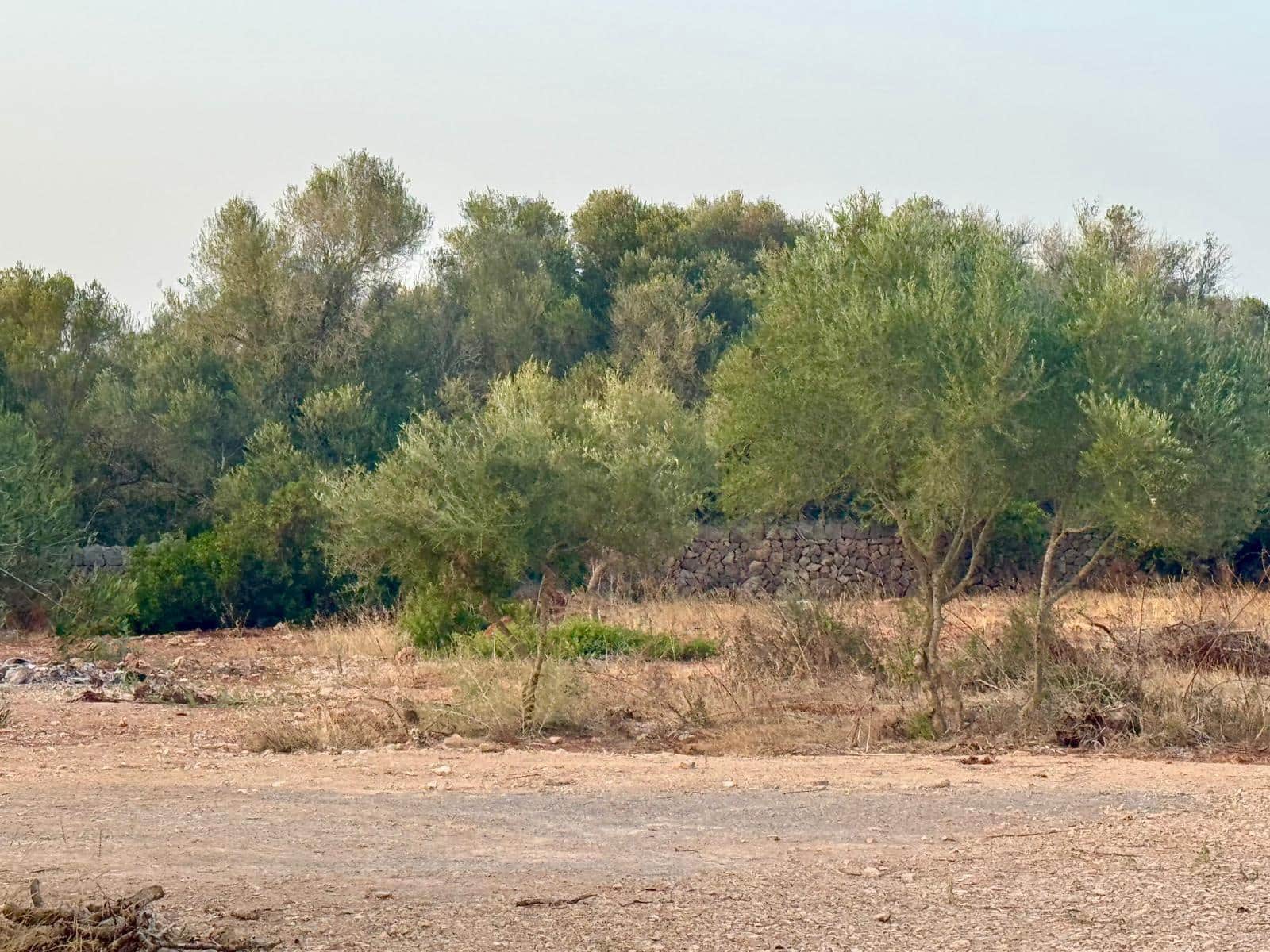 3 Zimmer Finca/Landgut zu vermieten in Portocolom mit Pool Garage - 4.000 € (Ref: 10021306)
