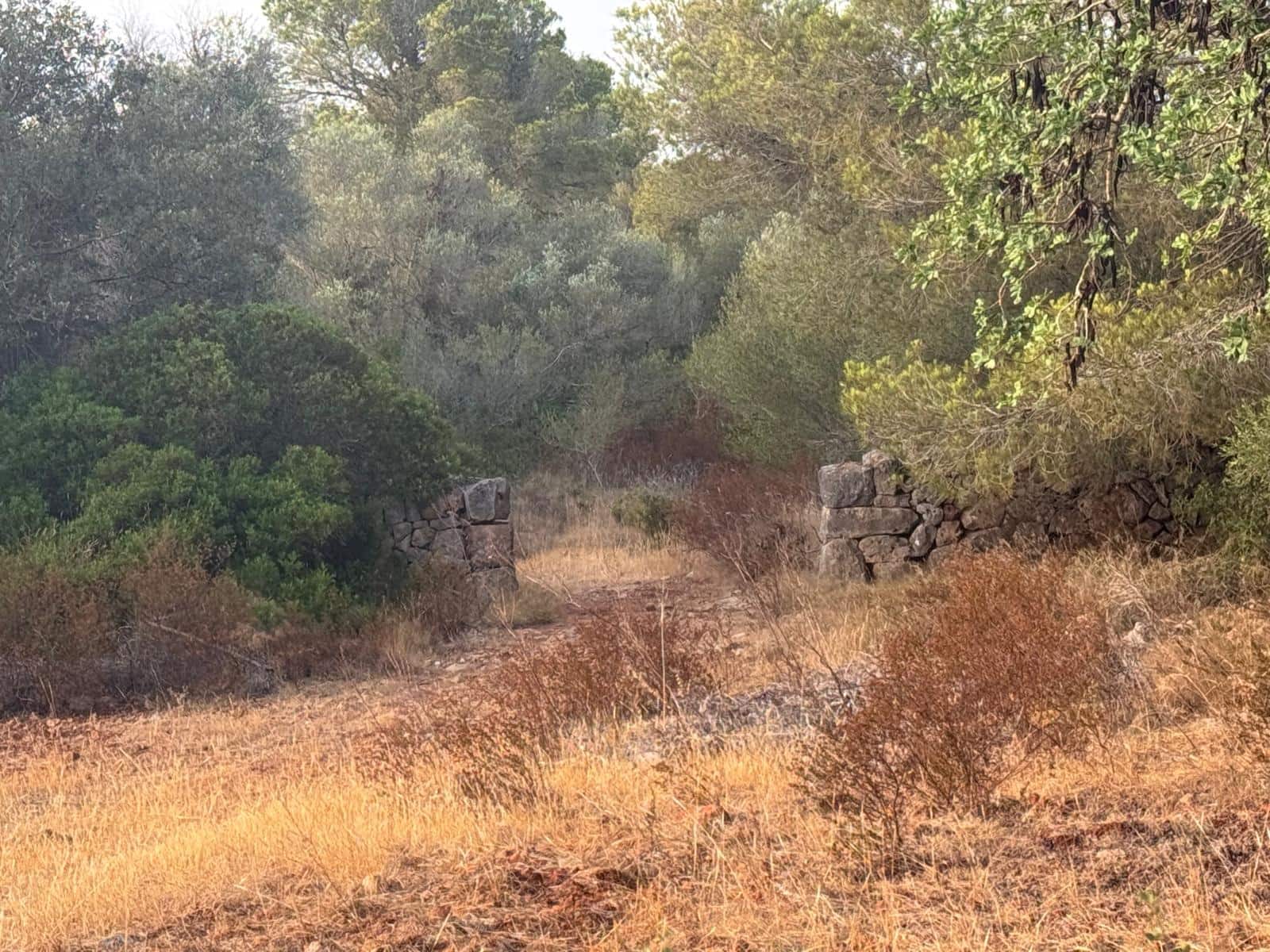 3 Zimmer Finca/Landgut zu vermieten in Portocolom mit Pool Garage - 4.000 € (Ref: 10021306)