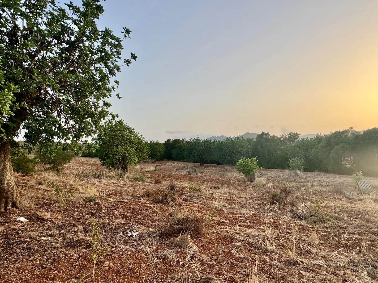 3 Zimmer Finca/Landgut zu vermieten in Portocolom mit Pool Garage - 4.000 € (Ref: 10021306)