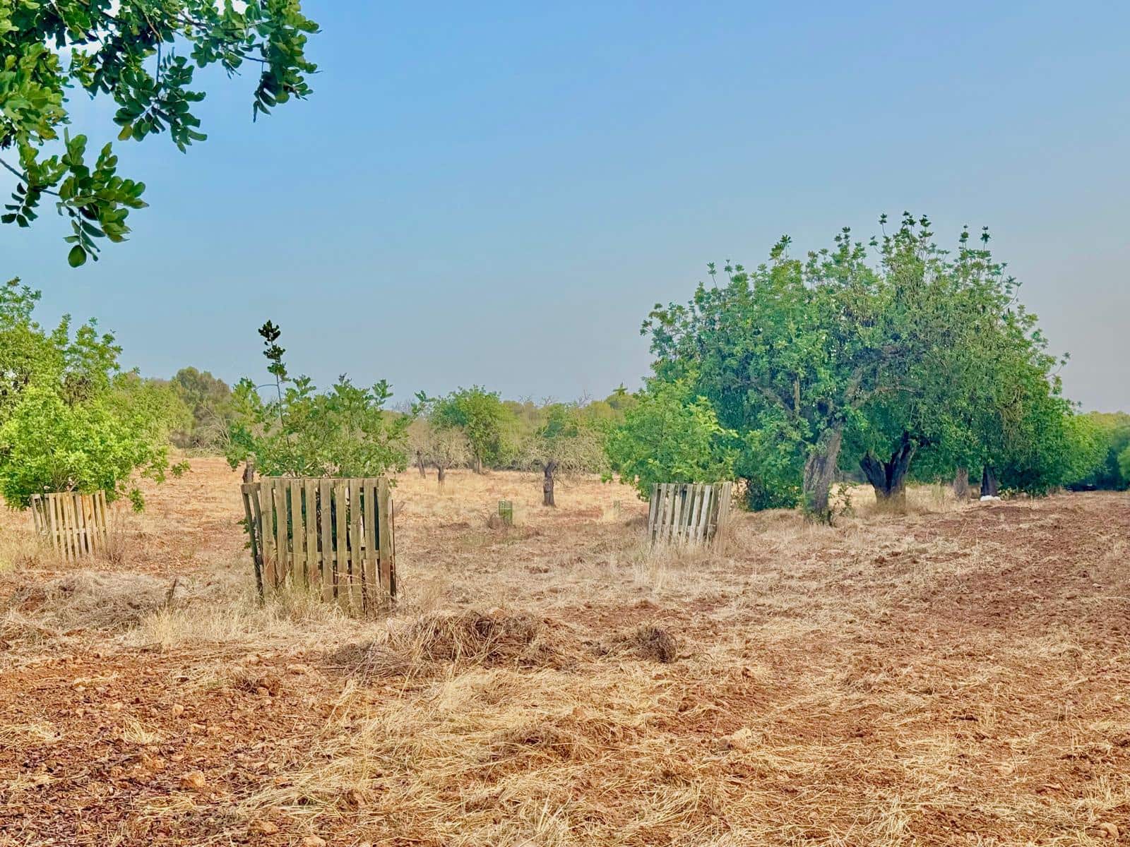 3 Zimmer Finca/Landgut zu vermieten in Portocolom mit Pool Garage - 4.000 € (Ref: 10021306)
