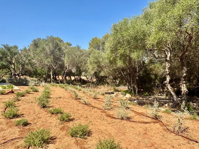 3 Zimmer Finca/Landgut zu vermieten in Portocolom, Felanitx mit Pool Garage - 4.000 € (Ref: 10021306)
