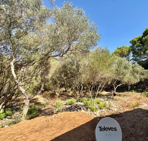 3 Zimmer Finca/Landgut zu vermieten in Portocolom, Felanitx mit Pool Garage - 4.000 € (Ref: 10021306)