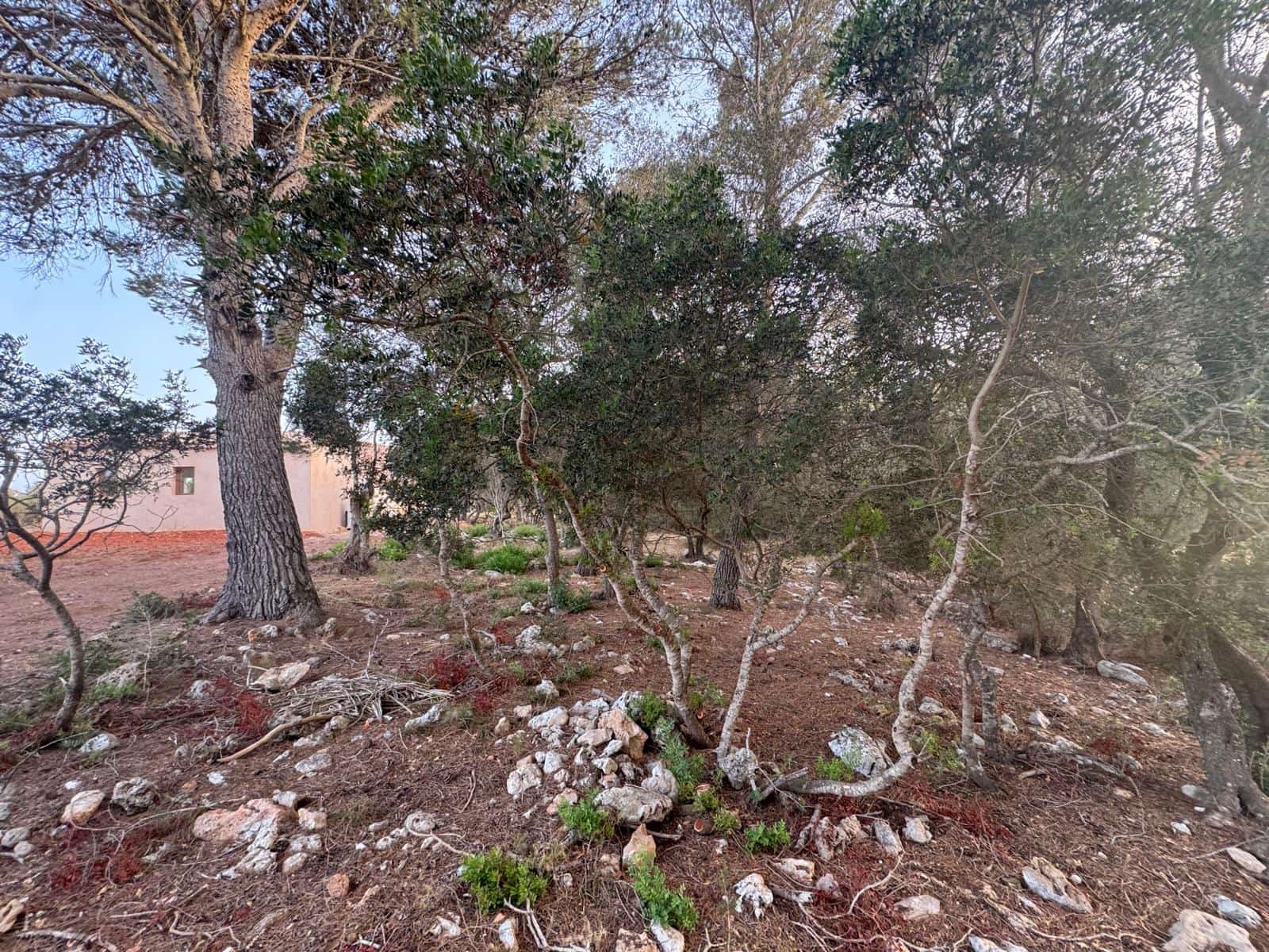 3 Zimmer Finca/Landgut zu vermieten in Portocolom mit Pool Garage - 4.000 € (Ref: 10021306)