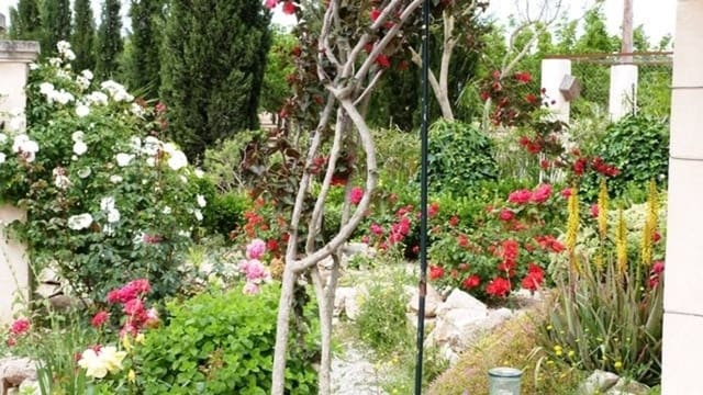 2 slaapkamer Finca/Landhuis te huur in Porreres met zwembad - € 1.800 (Ref: 10093661)