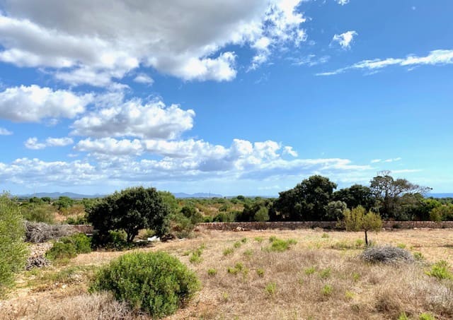 4 slaapkamer Villa te koop in Manacor met zwembad garage - € 3.500.000 (Ref: 6475138)