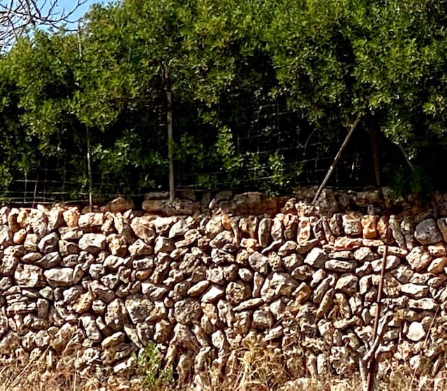 4 slaapkamer Villa te koop in Manacor met zwembad garage - € 3.500.000 (Ref: 6475138)