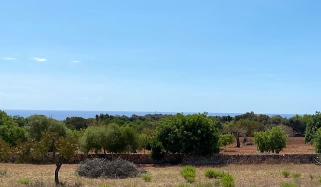 4 slaapkamer Villa te koop in Manacor met zwembad garage - € 3.500.000 (Ref: 6475138)