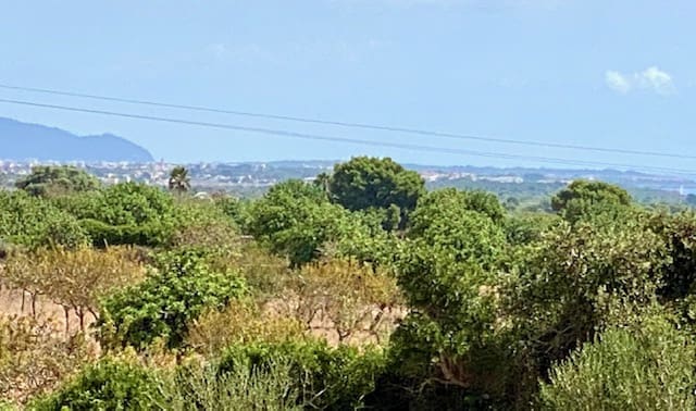 4 slaapkamer Villa te koop in Manacor met zwembad garage - € 3.500.000 (Ref: 6475138)