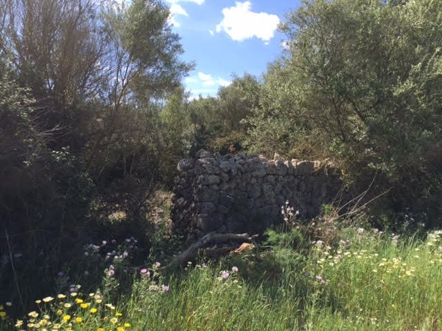 Finca/Country House for sale in Manacor - € 961,000 (Ref: 6475140)