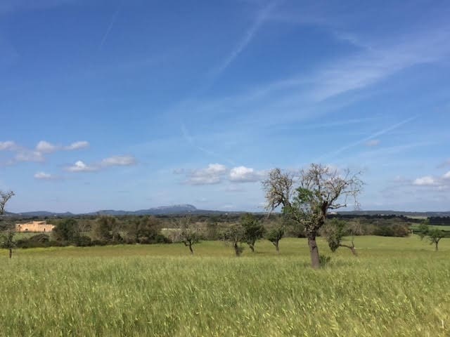 Finca/Country House for sale in Manacor - € 961,000 (Ref: 6475140)