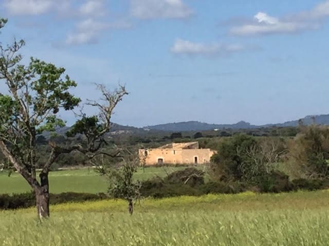 Finca/Country House for sale in Manacor - € 961,000 (Ref: 6475140)