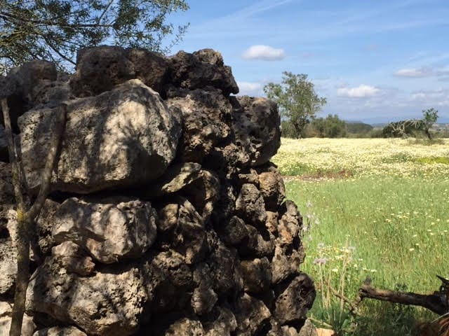 Finca/Country House for sale in Manacor - € 961,000 (Ref: 6475140)