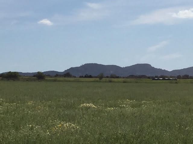 Finca/Country House for sale in Manacor - € 961,000 (Ref: 6475140)