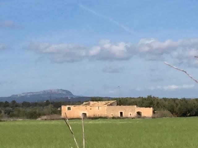 Finca/Country House for sale in Manacor - € 961,000 (Ref: 6475140)