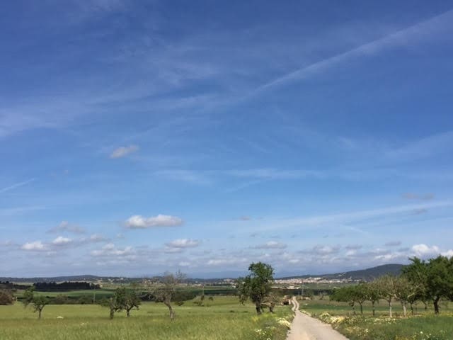 Finca/Country House for sale in Manacor - € 961,000 (Ref: 6475140)