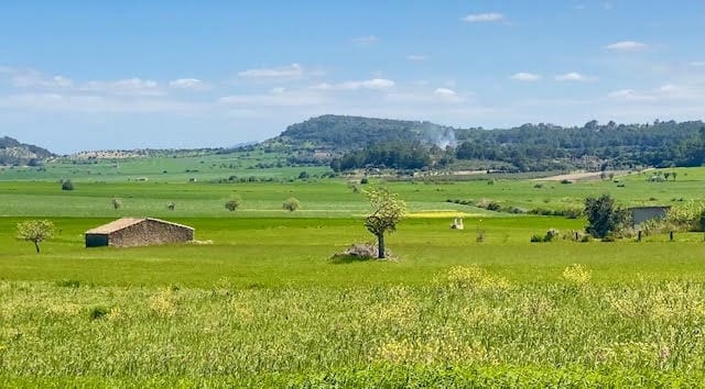 4 sypialnia Finka/Dom wiejski na sprzedaż w Lloret de Vista Alegre z basenem - 2 070 000 € (Ref: 6475162)