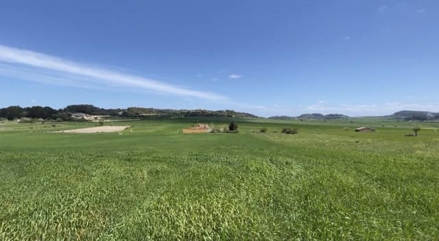 4 sypialnia Finka/Dom wiejski na sprzedaż w Lloret de Vista Alegre z basenem - 2 070 000 € (Ref: 6475162)