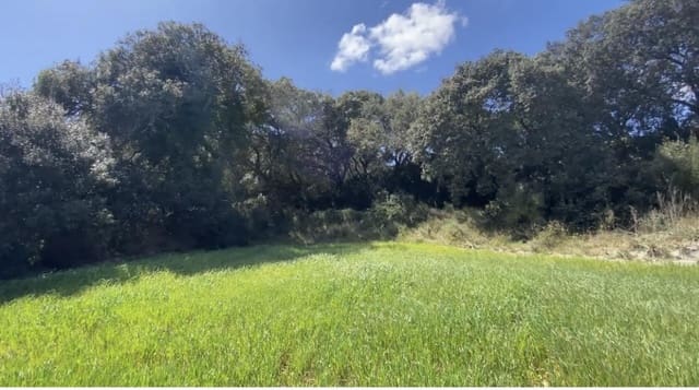 4 sypialnia Finka/Dom wiejski na sprzedaż w Lloret de Vista Alegre z basenem - 2 070 000 € (Ref: 6475162)