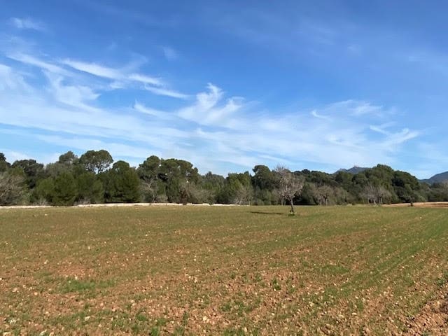 Ubebygd land til salgs i Cas Concos - € 420 000 (Ref: 6475200)