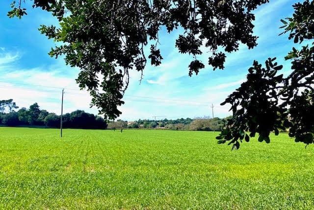 Teren niezagospodarowany na sprzedaż w Cas Concos, Felanitx - 420 000 € (Ref: 6475200)