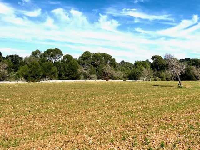 Ubebygd land til salgs i Cas Concos - € 420 000 (Ref: 6475200)