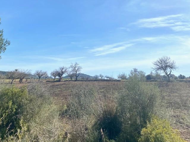 Ubebygd land til salgs i Cas Concos - € 420 000 (Ref: 6475200)