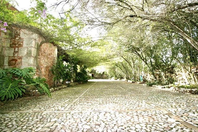 5 soveværelse Finca/Landehus til salg i Porreres med swimmingpool garage - € 2.600.000 (Ref: 6482788)