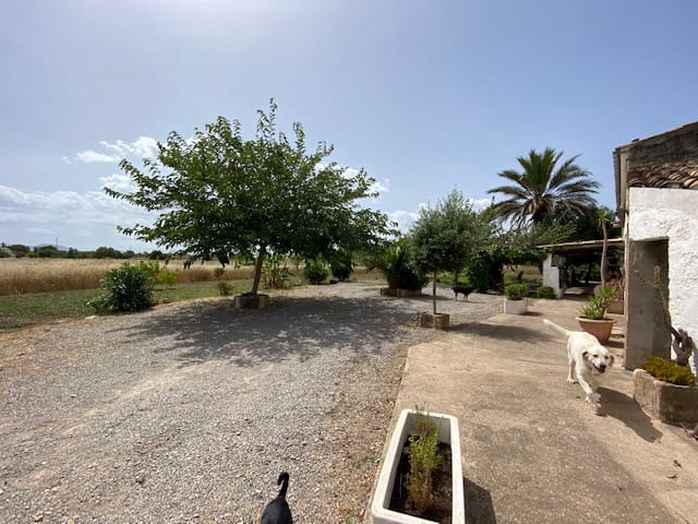 4 slaapkamer Finca/Landhuis te koop in Pollensa / Pollença met garage - € 1.200.000 (Ref: 6954544)