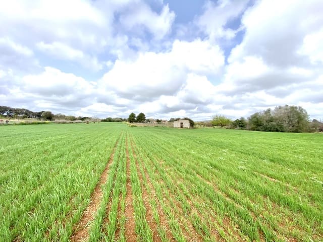 Undeveloped Land for sale in Porreres - € 160,000 (Ref: 7000762)