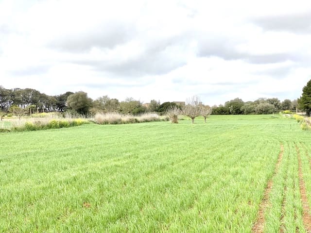 Undeveloped Land for sale in Porreres - € 160,000 (Ref: 7000762)
