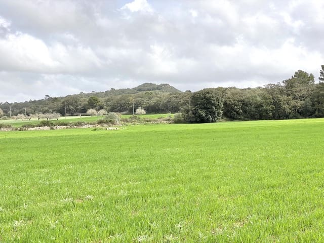 Undeveloped Land for sale in Porreres - € 160,000 (Ref: 7000762)