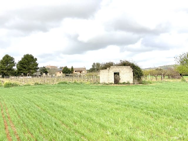 Undeveloped Land for sale in Porreres - € 160,000 (Ref: 7000762)