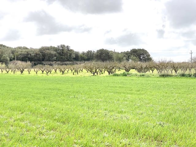 Undeveloped Land for sale in Porreres - € 160,000 (Ref: 7000762)