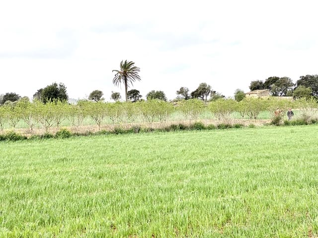 Undeveloped Land for sale in Porreres - € 160,000 (Ref: 7000762)