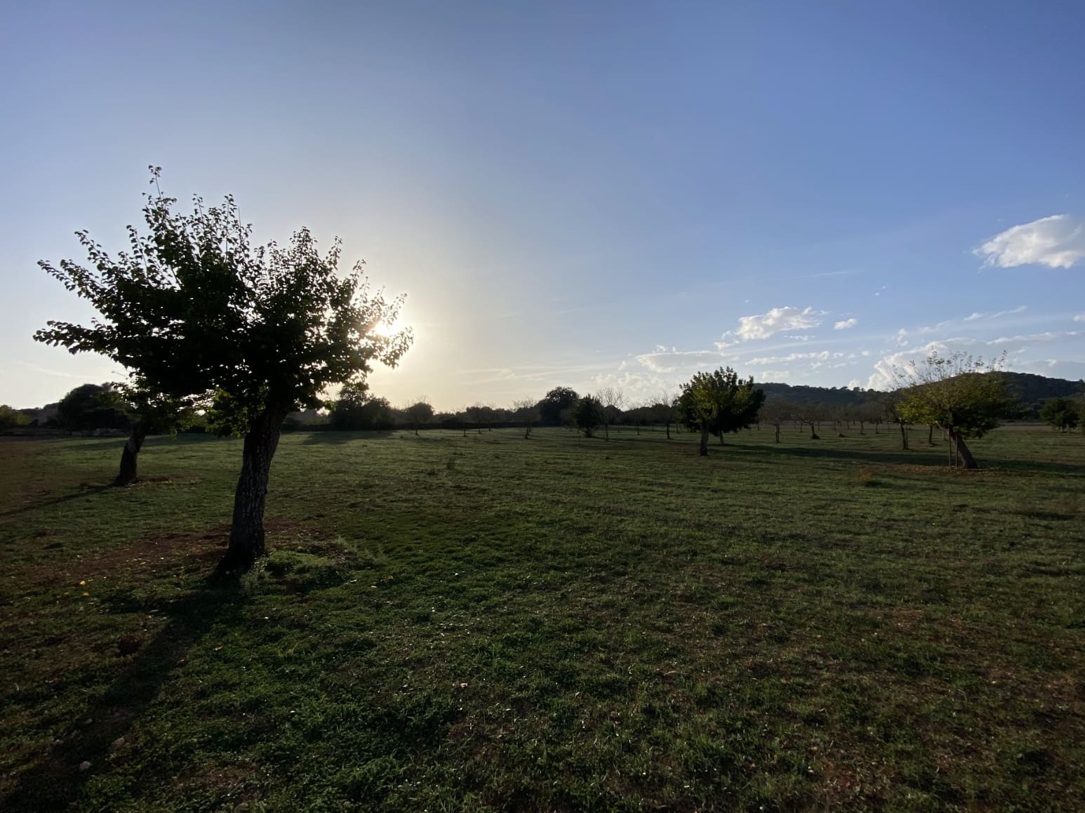 3 soveværelse Finca/Landehus til salg i Porreres - € 375.000 (Ref: 7218598)