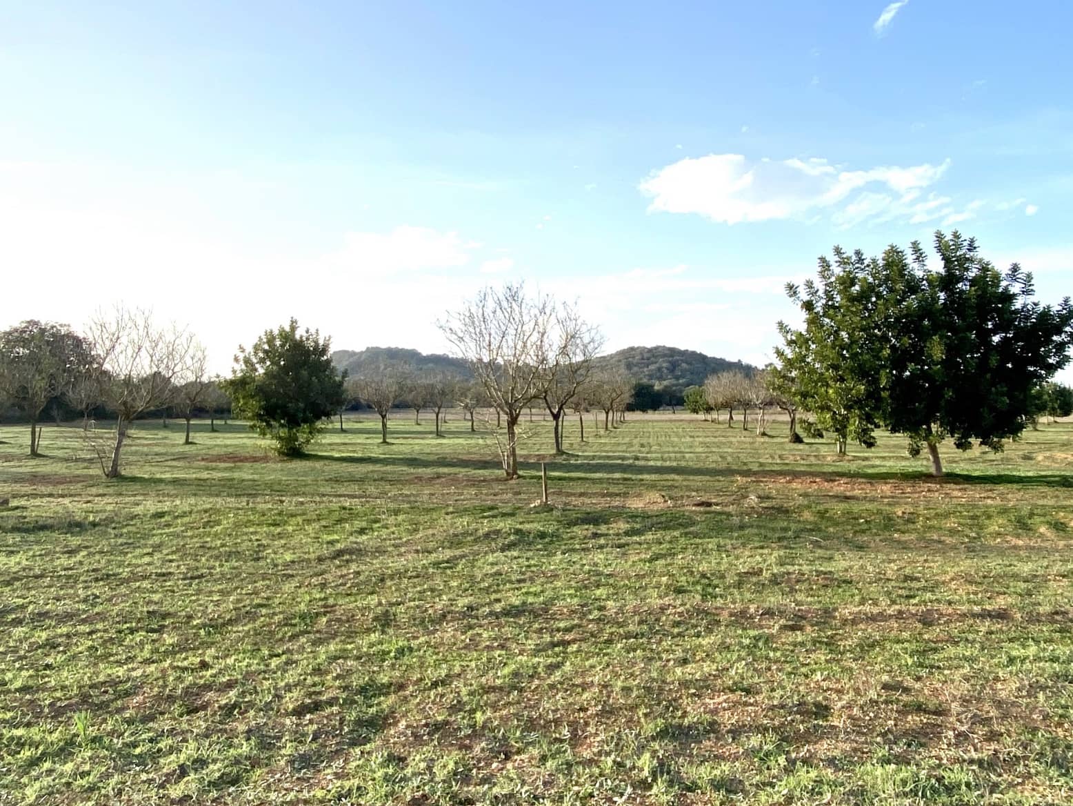 3 soveværelse Finca/Landehus til salg i Porreres - € 375.000 (Ref: 7218598)