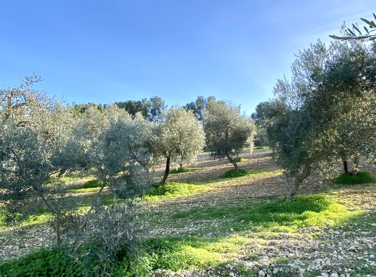 3 soveværelse Finca/Landehus til salg i Porreres med swimmingpool garage - € 750.000 (Ref: 7307092)