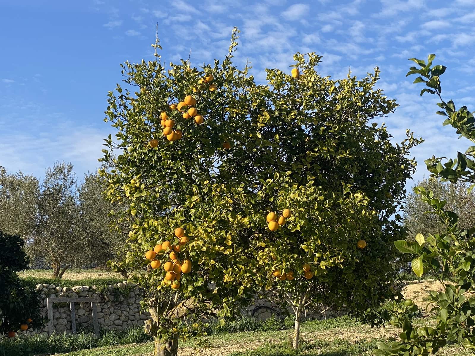 3 soveværelse Finca/Landehus til salg i Porreres med swimmingpool garage - € 750.000 (Ref: 7307092)