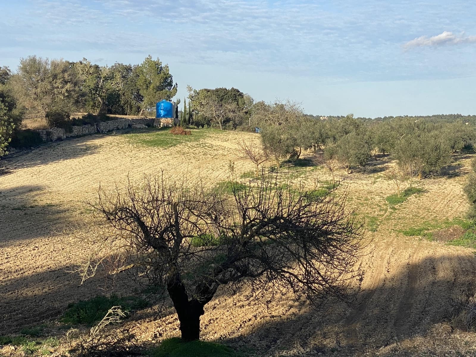 3 soveværelse Finca/Landehus til salg i Porreres med swimmingpool garage - € 750.000 (Ref: 7307092)