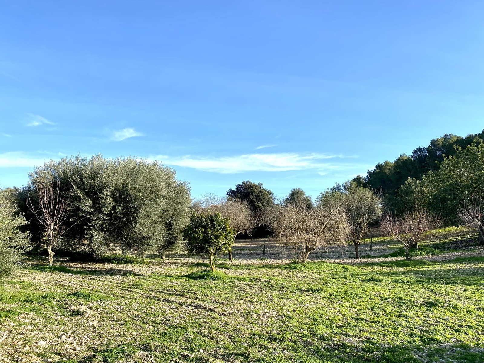 3 soveværelse Finca/Landehus til salg i Porreres med swimmingpool garage - € 750.000 (Ref: 7307092)