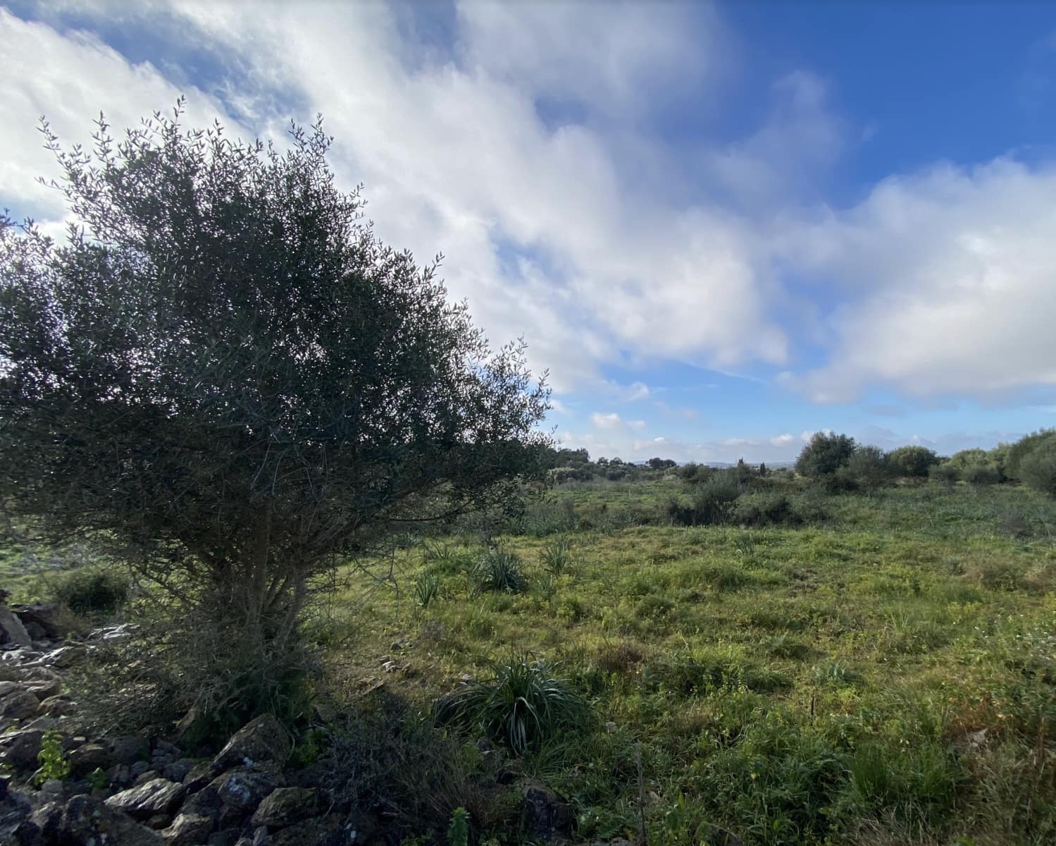 Apartment for sale in Son Macia - € 515,000 (Ref: 7332333)