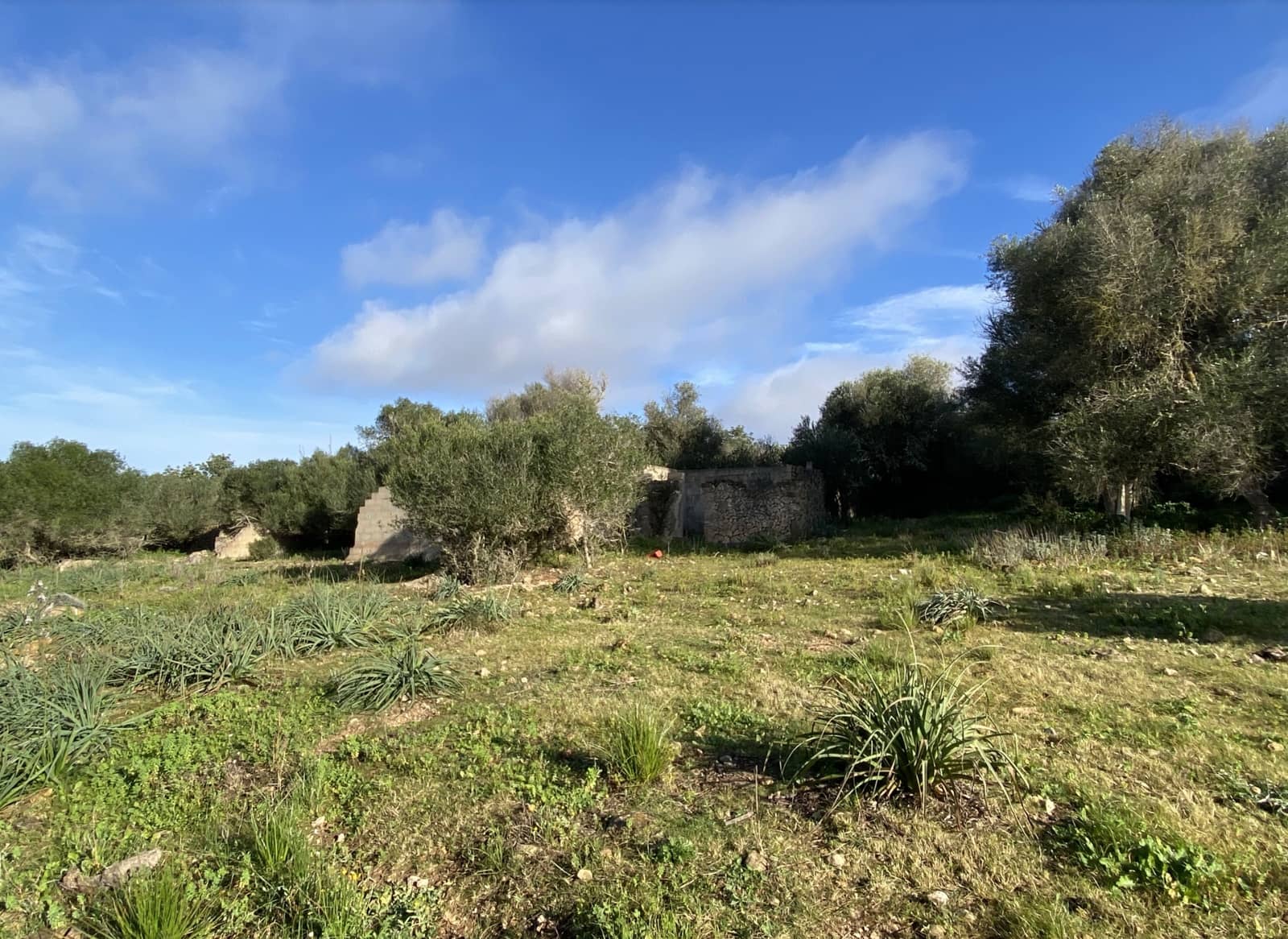 Apartment for sale in Son Macia - € 515,000 (Ref: 7332333)