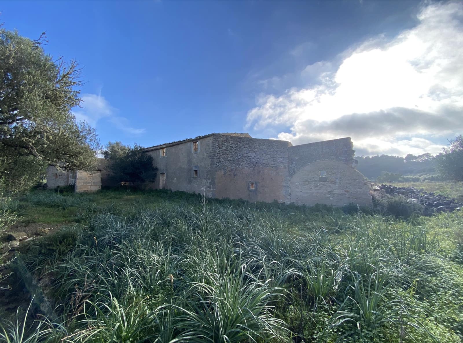 Apartment for sale in Son Macia - € 515,000 (Ref: 7332333)