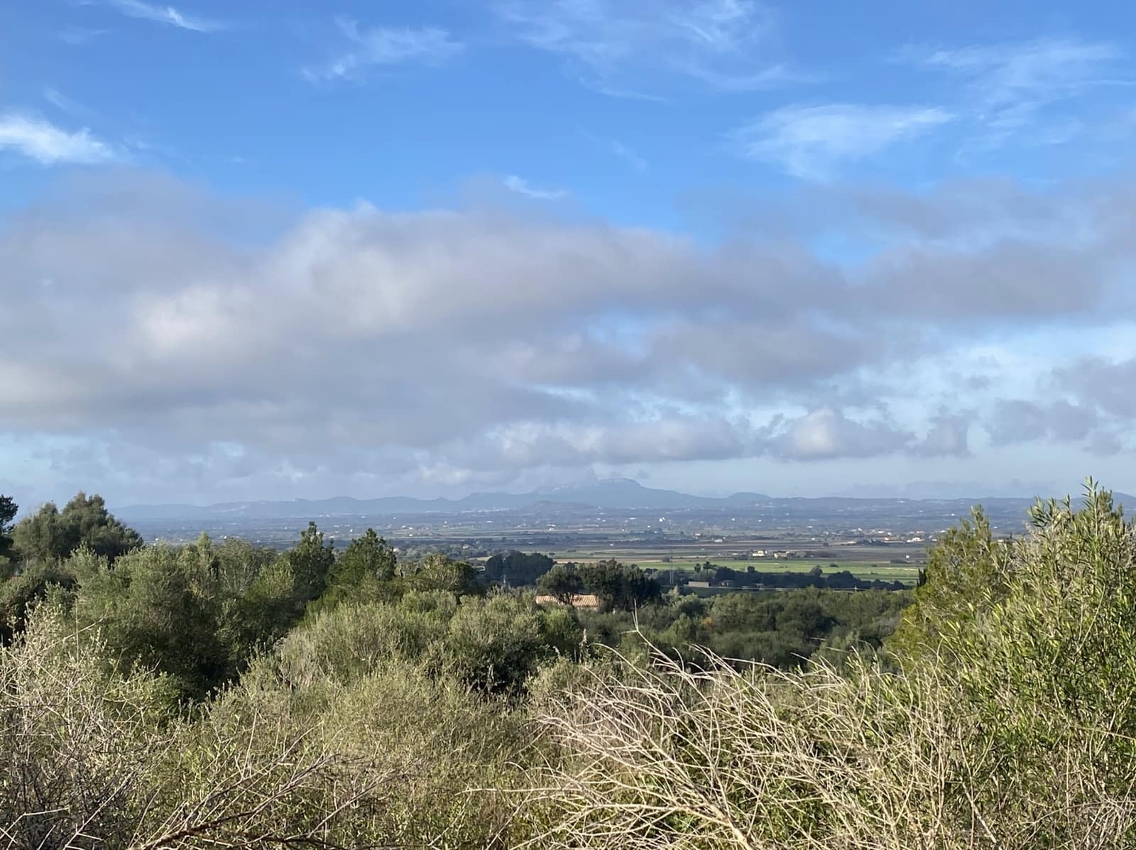 Apartment for sale in Son Macia - € 515,000 (Ref: 7332333)