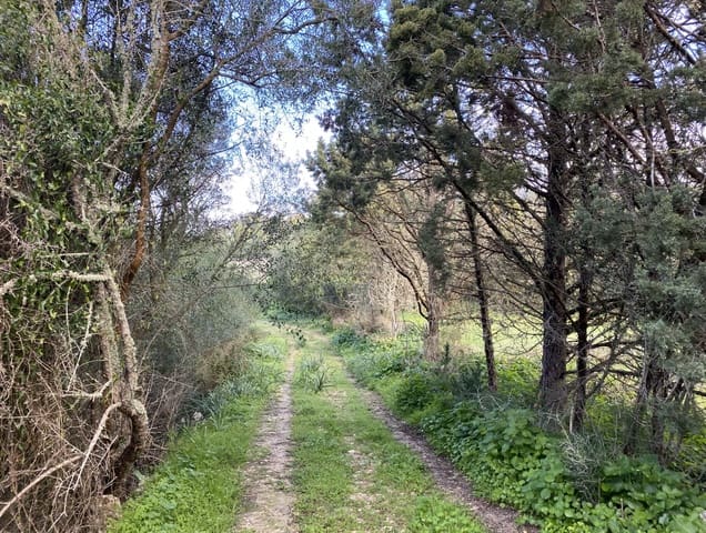 Apartament na sprzedaż w Son Macia, Manacor - 515 000 € (Ref: 7332333)