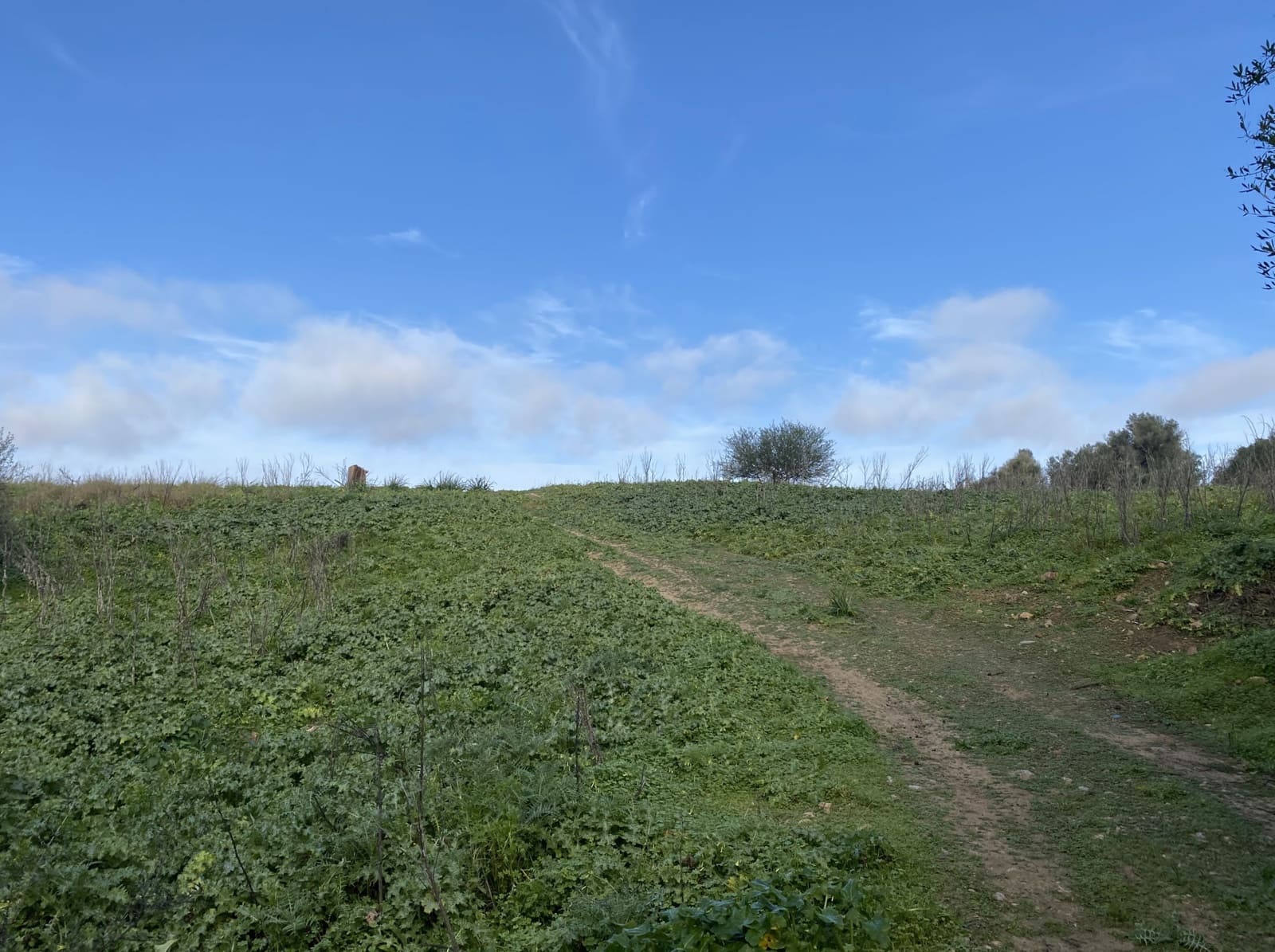 Apartment for sale in Son Macia - € 515,000 (Ref: 7332333)