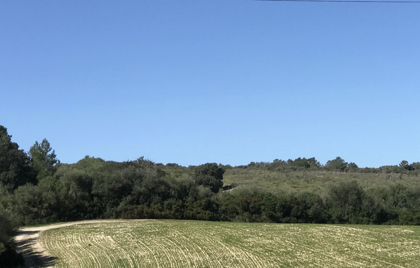 Grunde uden byggetilladelser til salg i Petra - € 700.000 (Ref: 7515600)