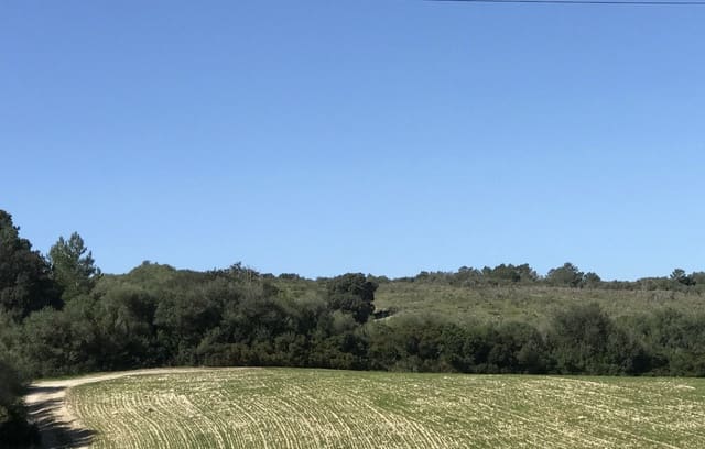 Grond te koop in Petra - € 700.000 (Ref: 7515600)